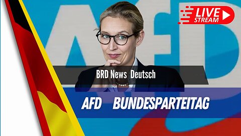 LIVE. AfD Parteitag