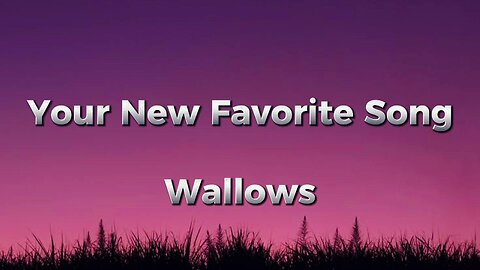 Wallows – Your New Favorite Song (lyrics)