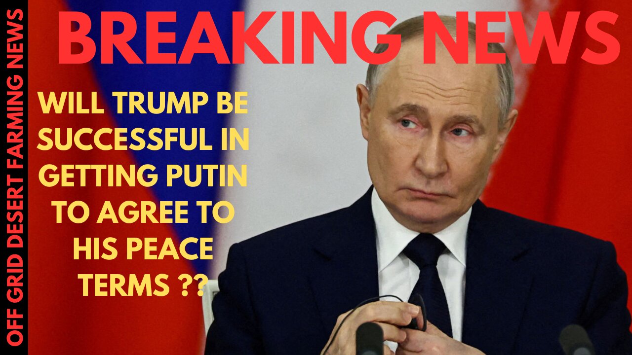 BREAKING NEWS: WILL TRUMP BE SUCCESSFUL IN FORCING PUTIN TO PEACE IN UKRAINE? ALL THE BREAKING NEWS