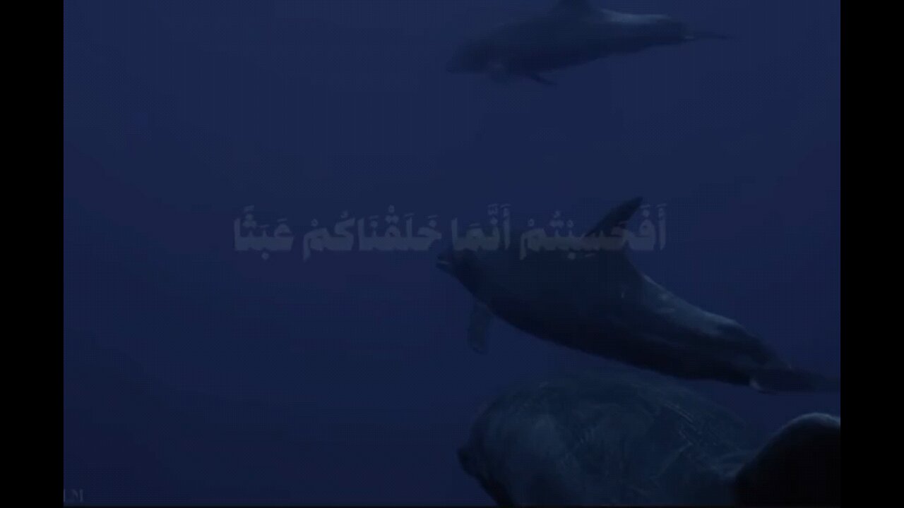 #القرآن_الكريم