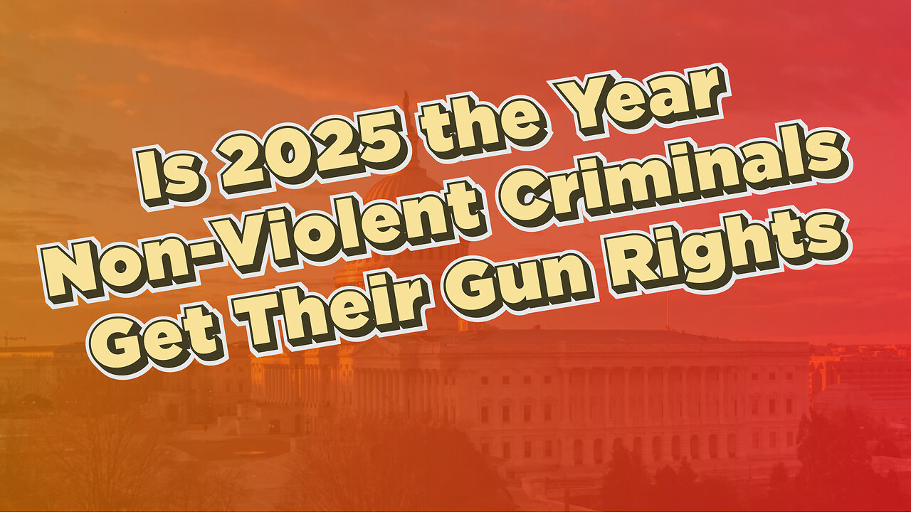 Is 2025 the Year Non-Violent Criminals Get Their Gun Rights?