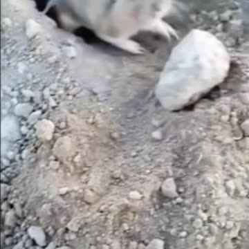 funny funny videos funny names funny animalsfunny funny videos funny names