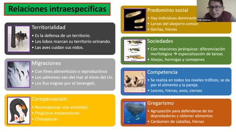 ADC SEMIANUAL 2023 | Semana 21 | Biología S2