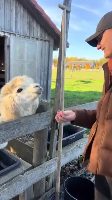 Play stupid games win stupid prizes 😝