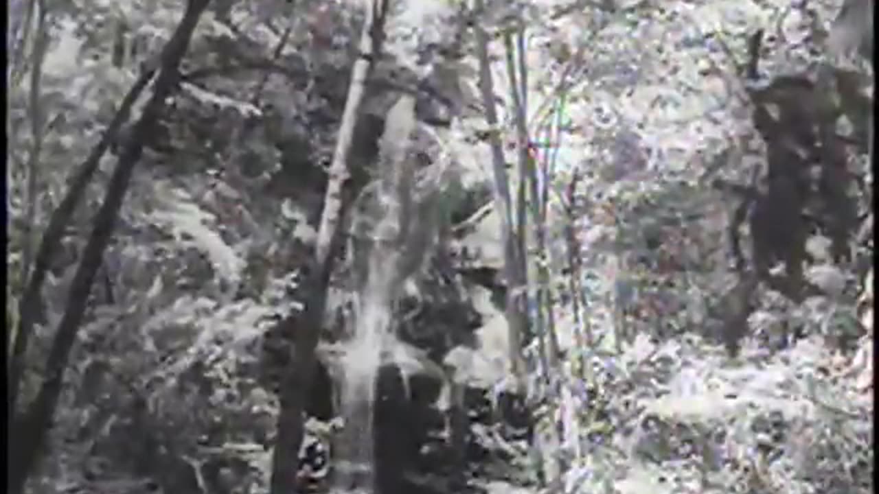 Alabama Highlands: A Journey Through Nature and Industry, 1937