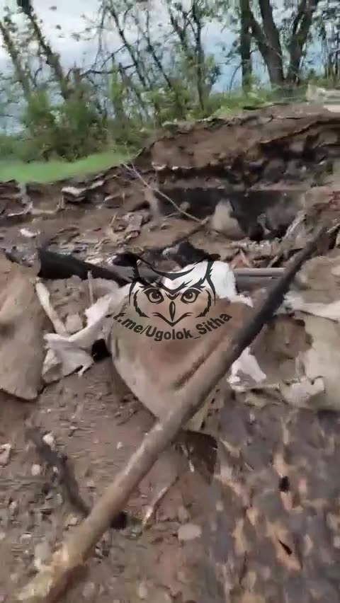 Ukraine War Combat Footage: 'Captured Ukrainian Positions'