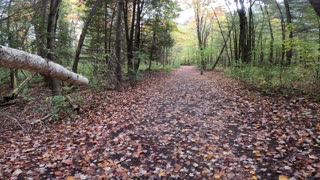 🌴2024 In The Fall 🍂🌿 Hiking The Old Quarry Trails Part 5 In Ottawa 🍁 Canada 🍂