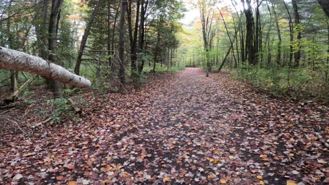 🌴 Hiking The Old Quarry Trails Part 5 In Ottawa 🍁 Canada 🍂