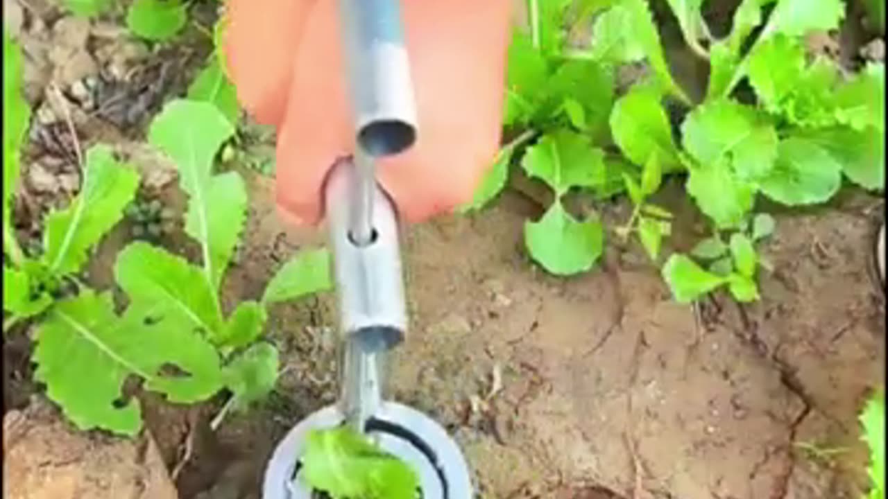 This Simple Tool Is Changing Farming Forever!