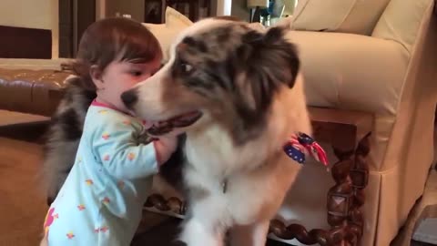 🤣 Funny Animals Pet kids Video