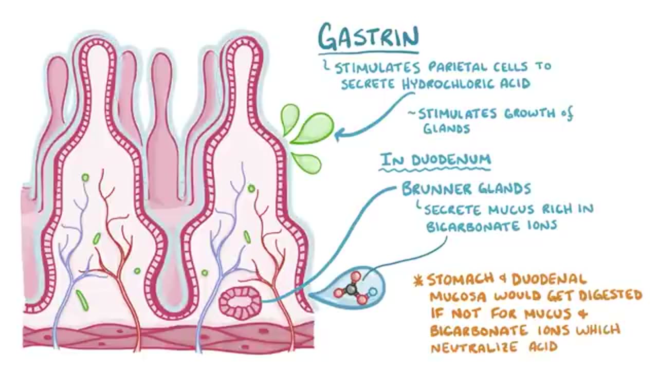 Peptic ulcer disease - causes, symptoms, diagnosis, treatment, pathology