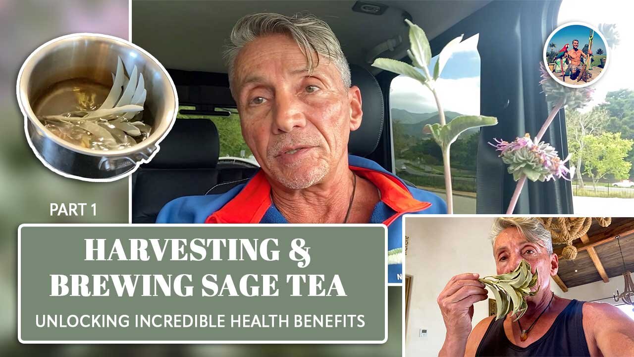 Harvesting & Brewing Sage Tea: Unlocking Incredible Health Benefits Part 1 | Dr. Robert Cassar