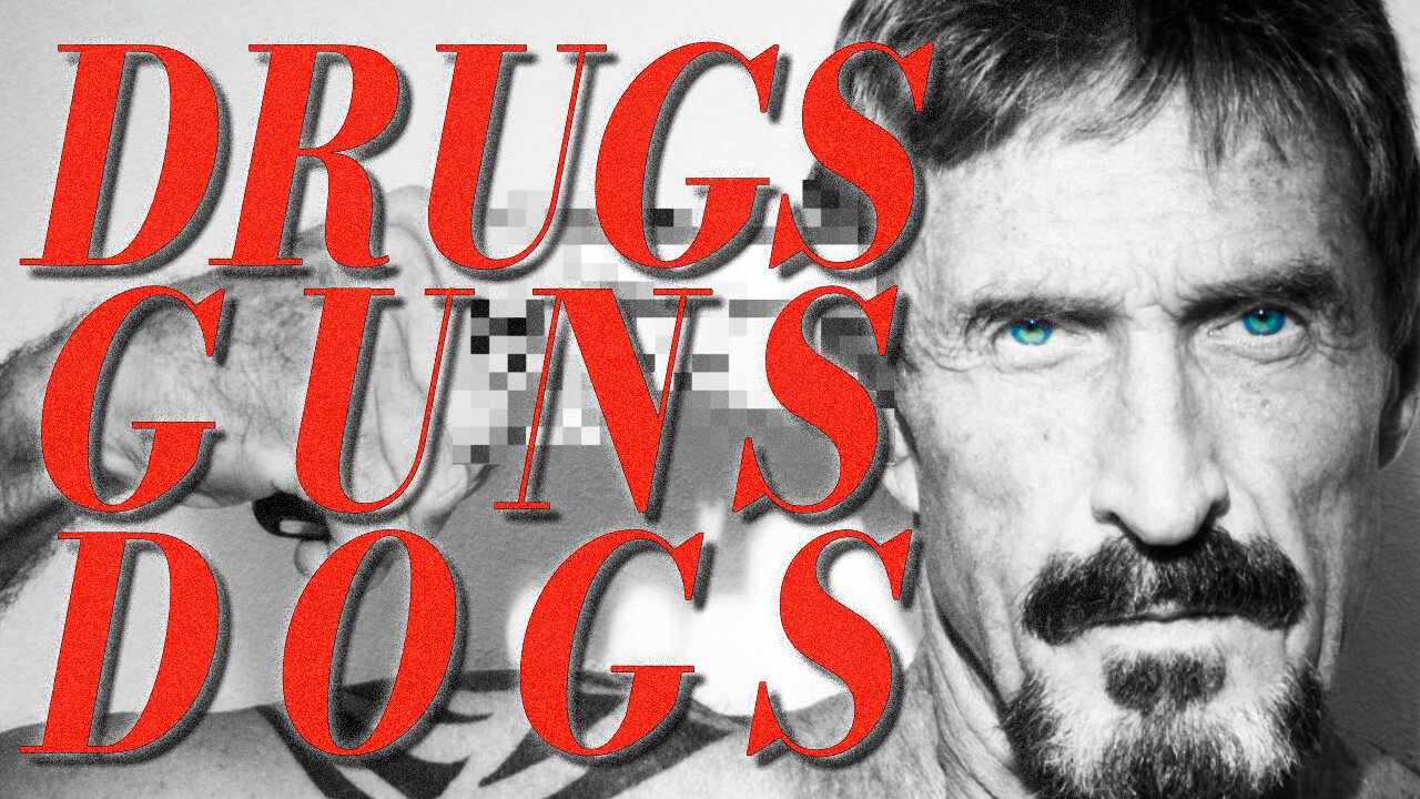 From Anti-Virus to Belizean Dictator | John McAfee