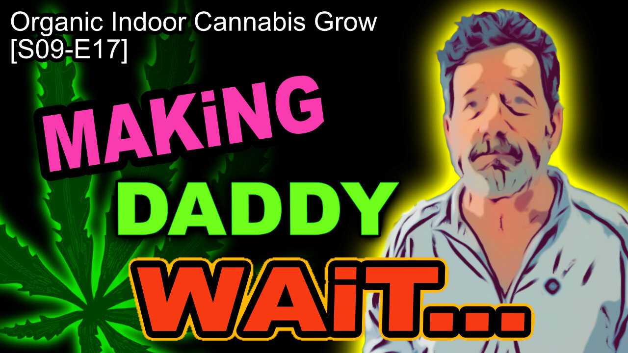 S09 E17 🕒 Week 9 Of Flower | Cannabis Grow 🪴 | Buds Are Ripening At Their Own Pace 🥱😑