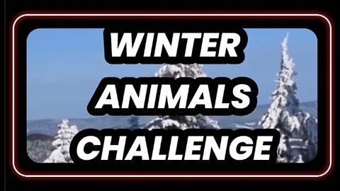 Winter Animals Challenge