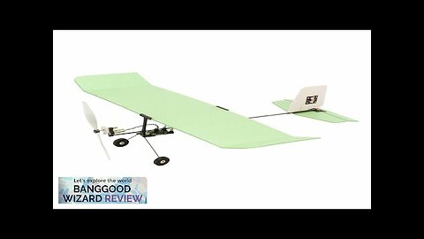 Dancing Wings Hobby Ice Cream E2306-B50 226mm Wingspan Ultra-light Indoor Mini RC Review