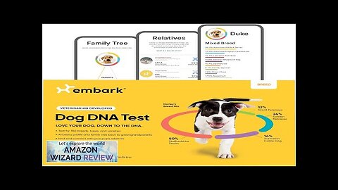 Embark Breed Identification Kit | Most Accurate Dog DNA Test | Test Review