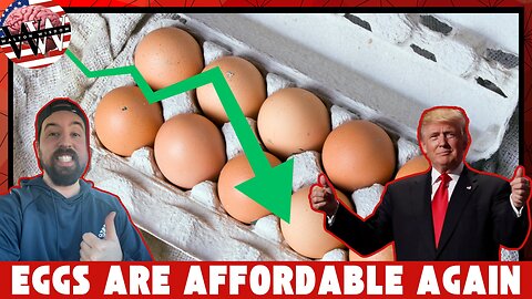 Eggs Prices DOWN, Gas Price DROPS!!