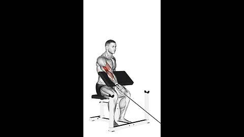 Single Arm Cable Preacher Curl Exercise.