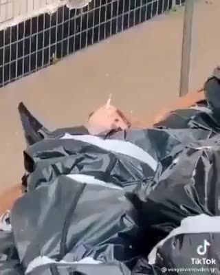 "Nearly everything the gov & their obedient guard-dog “news outlets” show you, is a Lie" ~ SG