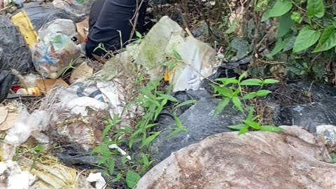 Rescuing Puppy Litter Found In Roadside Cliff Garbage Pile