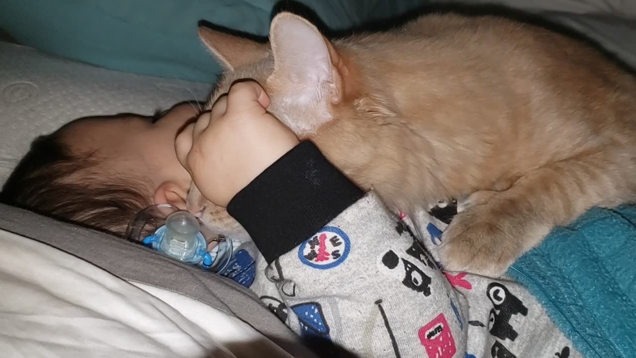 Cat Steals Binkie From Sleeping Baby