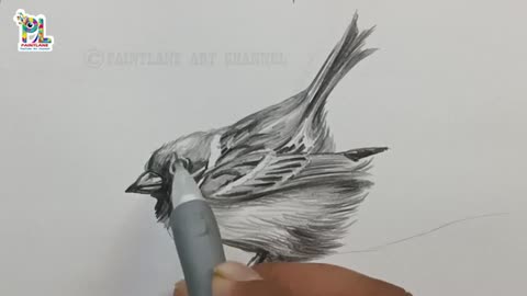 How to draw Sparrow Bird step by step with pencil || Birds Pencil Art