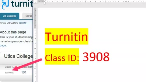 SECRET Turnitin Instructor Access with Free Class ID and Enrollment Key