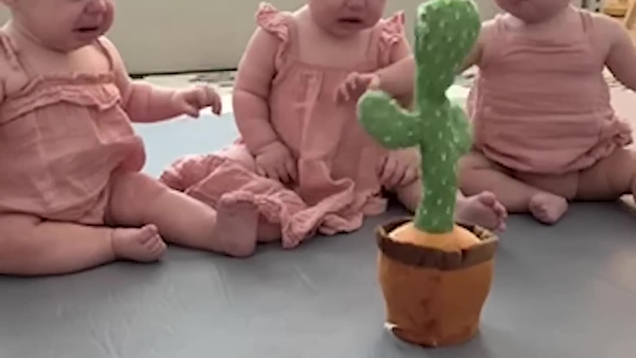 Triplets Cry At Talking Cactus Toy 😂