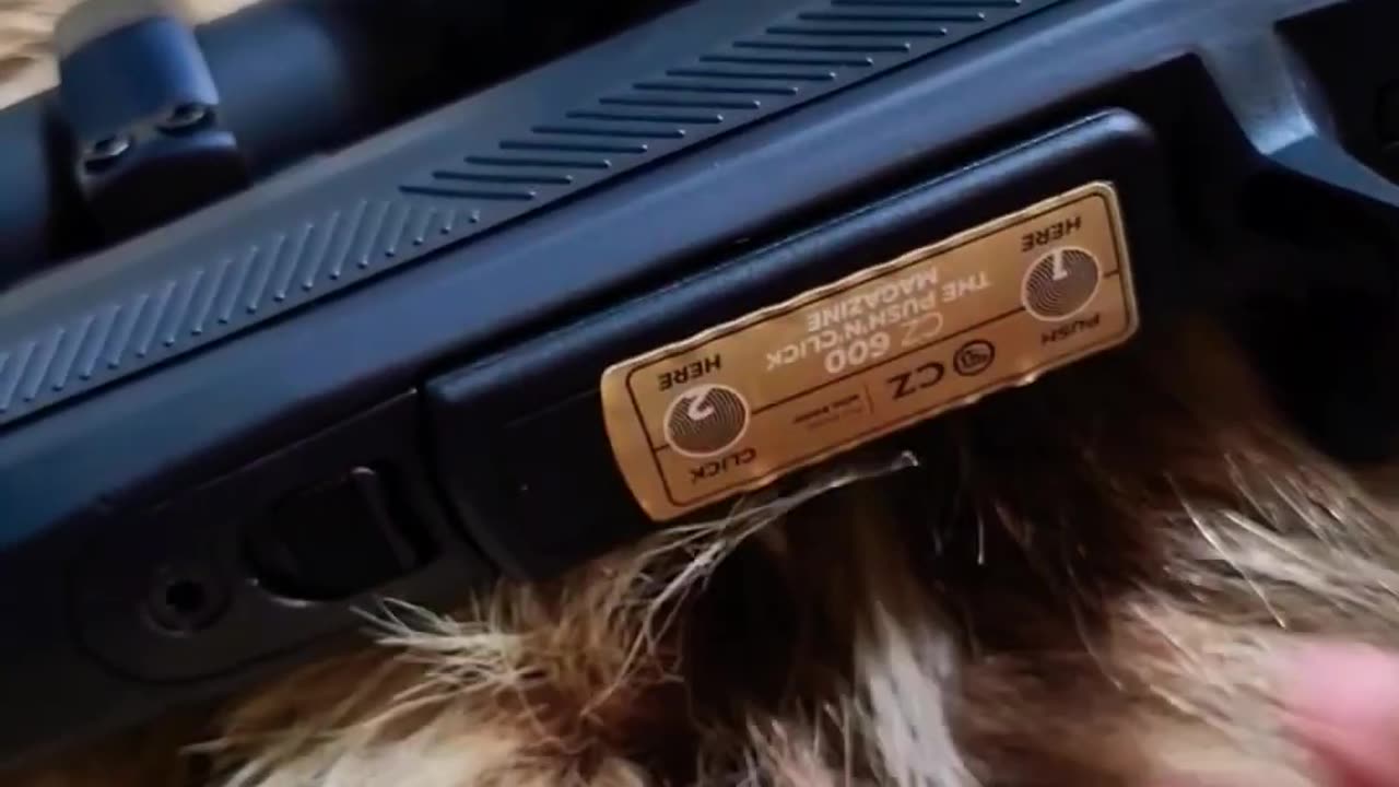 CZ 600 Alpha Bolt-Action Rifle!