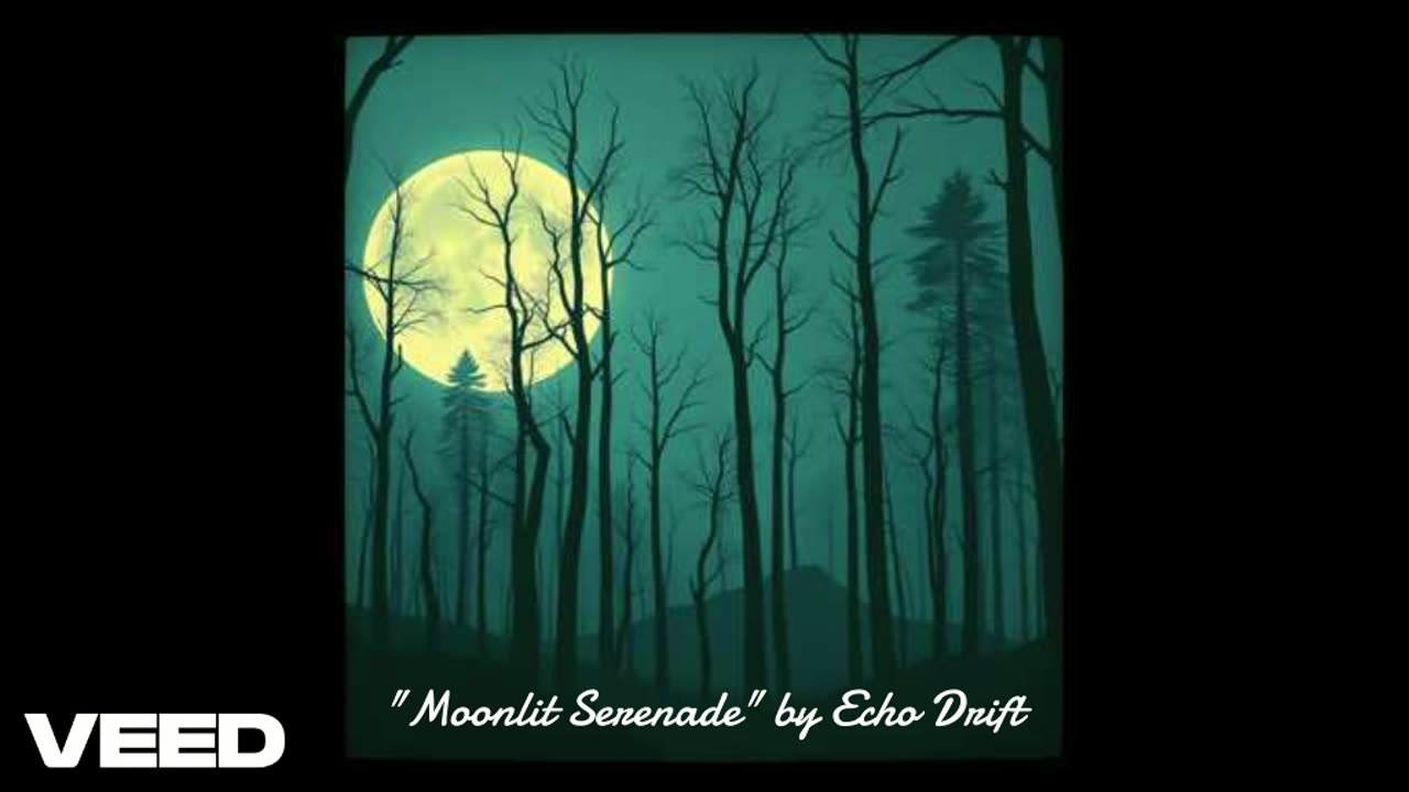 "Moonlit Serenade" by Echo Drift