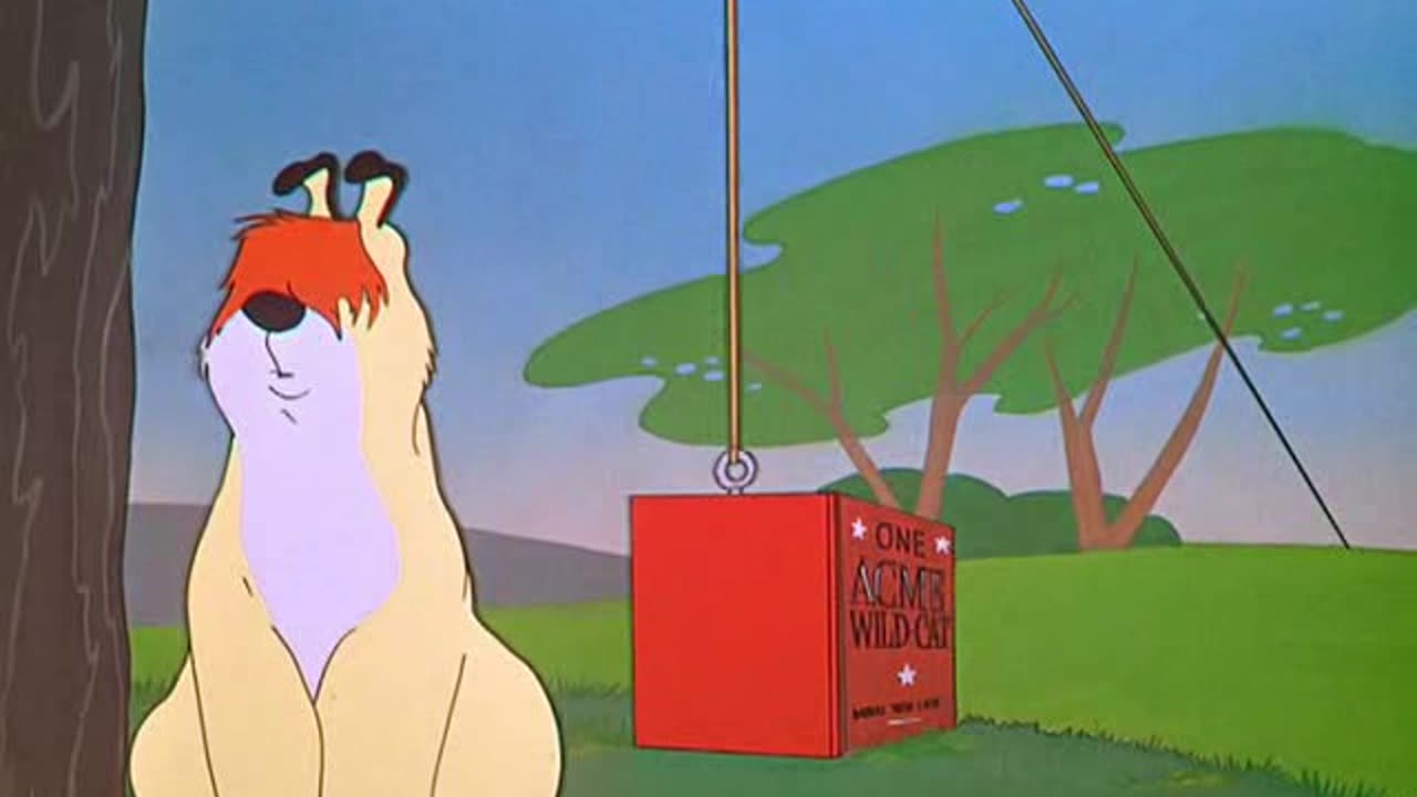 Looney Tunes Golden Collection S1953E01 Don't Give Up the Sheep