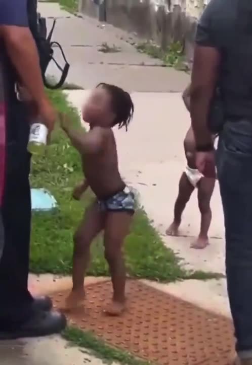 It all makes sense when you realize it has everything to do with IQ .. not slavery