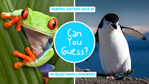 Ultimate Animal Quiz: Test Your Wildlife Knowledge!