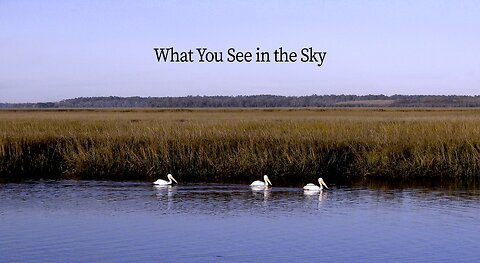 WHAT YOU SEE IN THE SKY