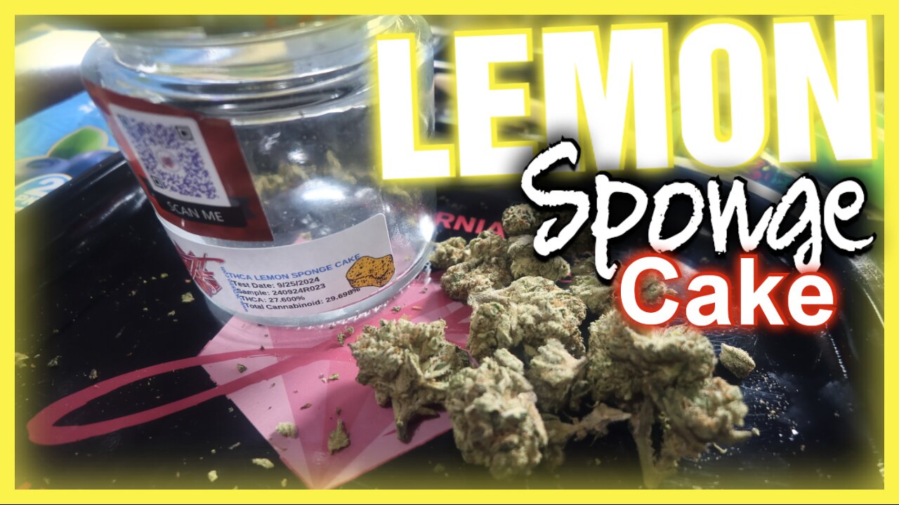 JK DISTRO 🍋 Lemon Sponge Cake THCA Flower Review | Zesty, Potent & Aromatic! 🌿✨