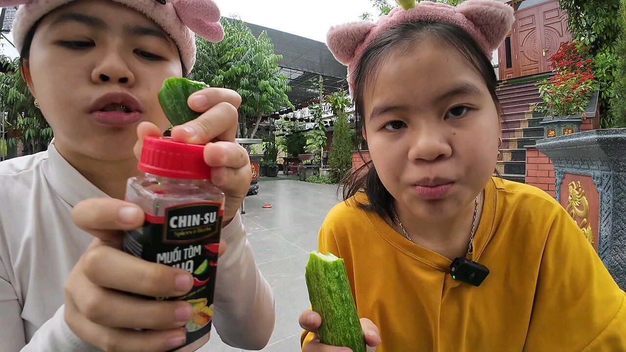 Eat cucumber delicious • Duong cookie