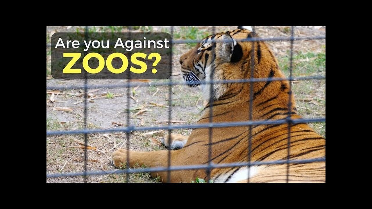 Are You Against Zoos?