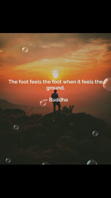 Your Qoute For A Day 286