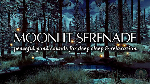 Moonlit Serenade | Peaceful Pond Sounds at Night for Deep Sleep, Relaxation & Meditation