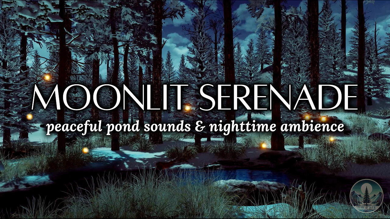 Peaceful Pond Sounds & Nighttime Ambience for Sleep & Relaxation 🌙✨🐸 | Sounds of Nature