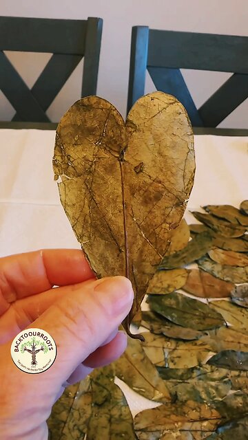 God’s heart is in everything