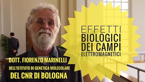 EFFETTI BIOLOGICI DEI CAMPI ELETTROMAGNETICI