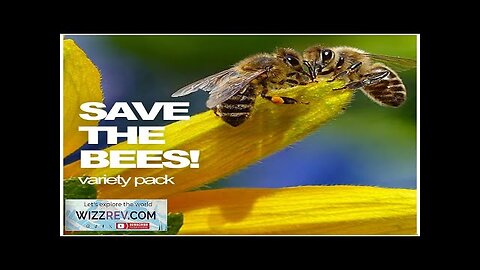 All-in-One SAVE THE BEES! Garden Variety Pack – Seeds Review