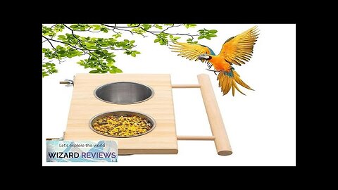 Bird Feeder Stainless Steel Pet Feeding Bowl Parrot Feeding Bowl with Wooden Review