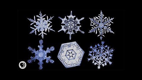 The Science of Snowflakes