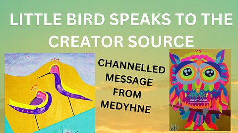 LITTLE BIRD SPEAKS TO CREATOR SOURCE - CHANNELLED MESSAGE via MEDYHNE