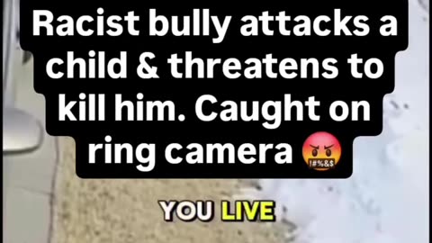 Racist Bully Attacks and Threatens Child