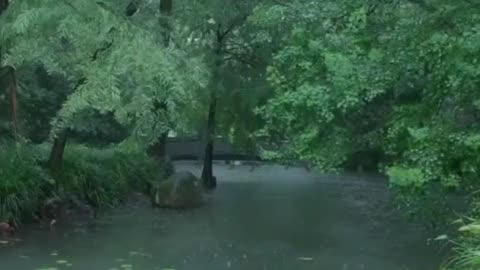 The beautiful little river is raining