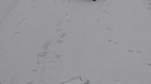 Snow,snow